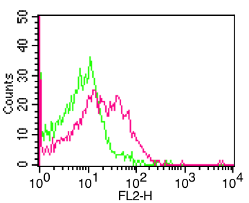 Mouse Monoclonal Antibody to Insulin Receptor (Clone: IR-1)